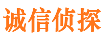 攸县市婚外情调查